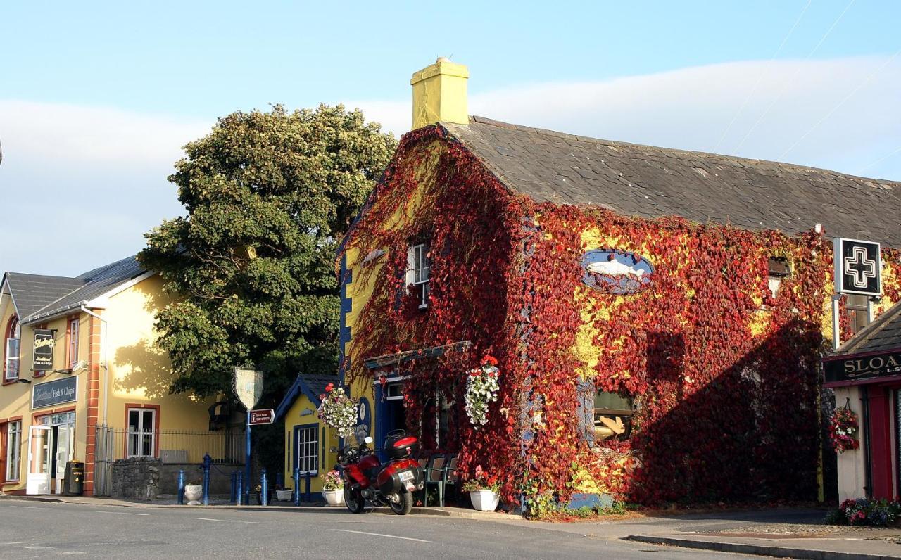 Kingfisher Lodge & Pub Castleconnell ภายนอก รูปภาพ